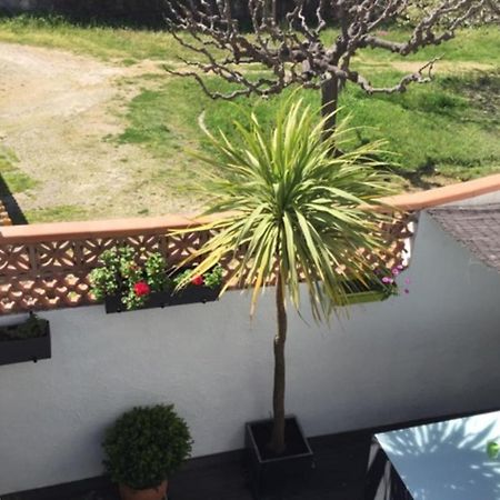 Appartement La perle marine à Le Grau-du-Roi Extérieur photo